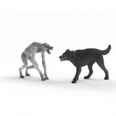 Werewolf vs. Animagus